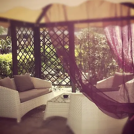 酒店 马库斯酒店 3*